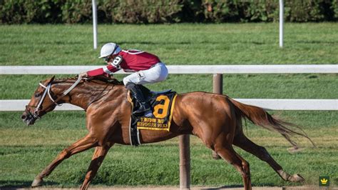 sprintvalley racing